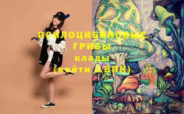 марки lsd Пестово